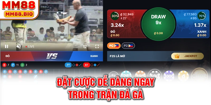 Đặt cược dễ dàng ngay trong trận đá gà