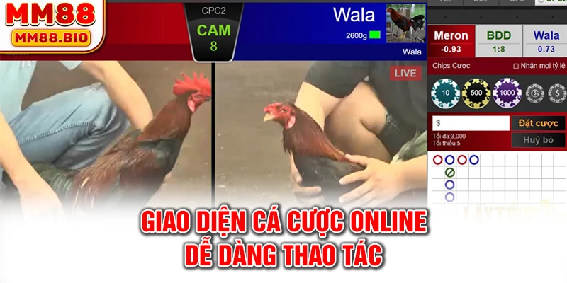 Giao diện cá cược online dễ dàng thao tác