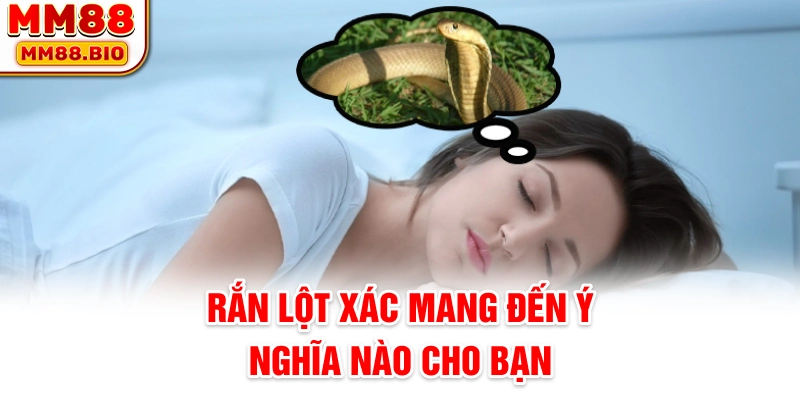 Rắn lột xác mang đến ý nghĩa nào cho bạn
