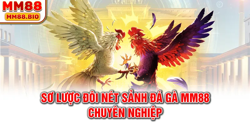 Sơ lược đôi nét sảnh đá gà MM88 chuyên nghiệp