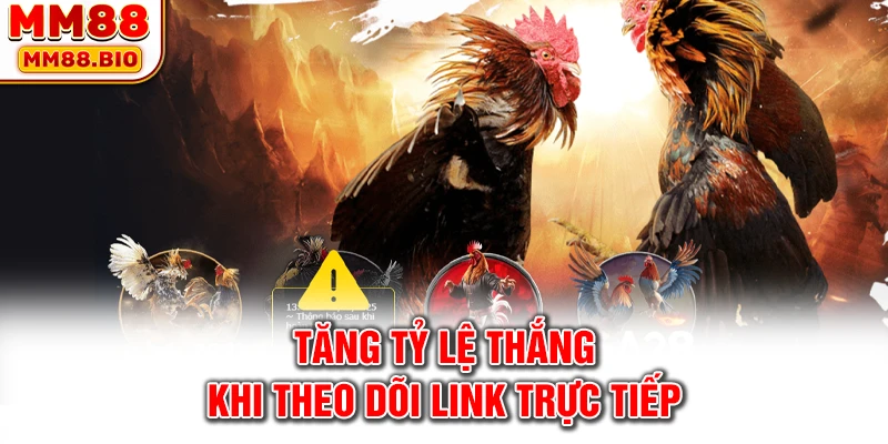 Tăng tỷ lệ thắng khi theo dõi link trực tiếp