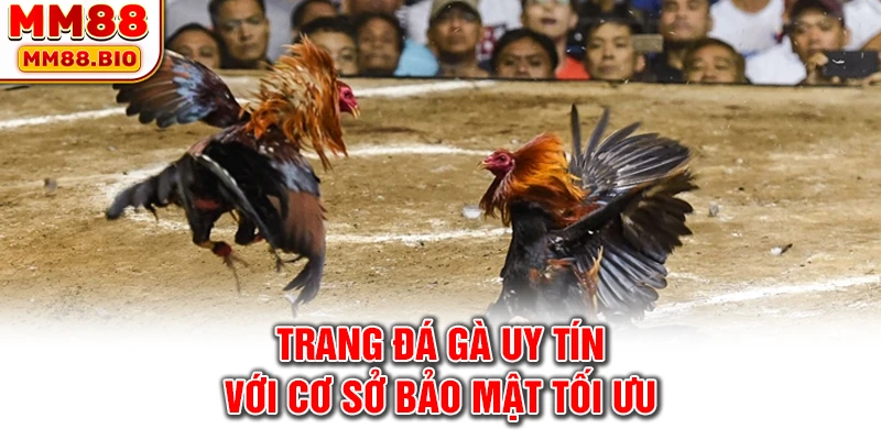 Trang đá gà uy tín với cơ sở bảo mật tối ưu