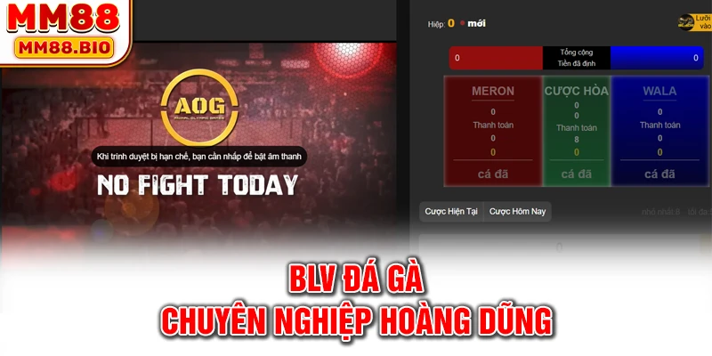 BLV đá gà chuyên nghiệp Hoàng Dũng