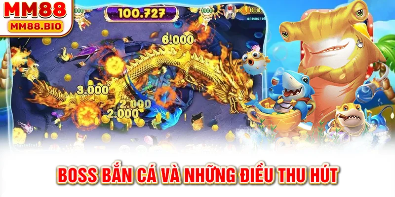 Boss bắn cá và những điều thu hút