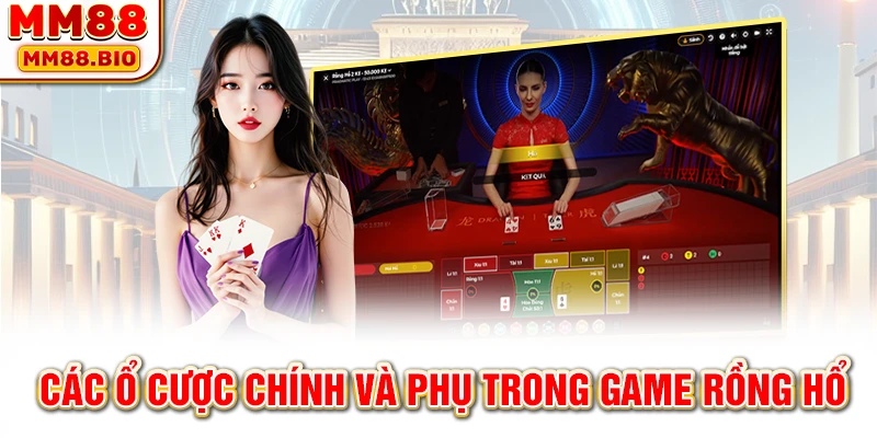 Các ổ cược chính và phụ trong game Rồng Hổ