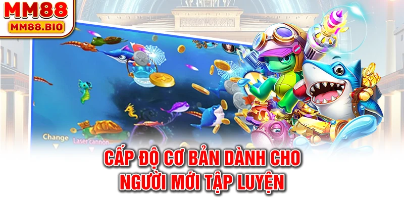 Cấp độ cơ bản dành cho người mới tập luyện
