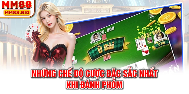 Những chế độ cược đặc sắc nhất khi đánh phỏm